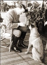 adolfdog