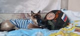 IMG_20250523_083839_773