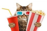 popcornkitteh1