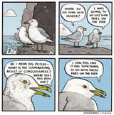 21258