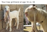 Trap_Goat