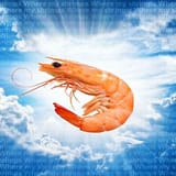 raf,360x360,075,t,fafafa_ca443f4786.u27 (1)