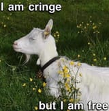 1621966059891