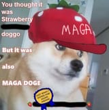 1748119277799288