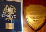 donaldfredtrumpjewawards