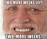 2 weeks harold