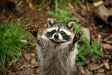 AdobeStock_173371622-1400x935