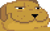 dealwithitdog
