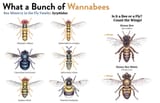 Davies_24-What-a-Bunch-of-Wannabees