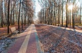 Russian_Parks (59)