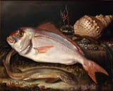 Cristóbal Vilella (Palma de Malloca, Province of Balearic Islands 1742-1803 ibid.) Red porgy and other sea life of Majorca - oil on canvas