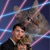 150221-laser-cat-rodriguez-237