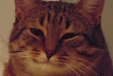 2413676849_preview_pwa_list_rect_1280_35b06e2bd3403fb2d4748e36b1e25189
