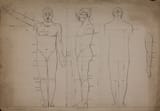 Unknown artist (Spanish 18th-19th c.) Anatomical proportions of the male figure from the front, profile, and back - ink on paper 1
