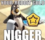 reddit gold