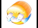 12345