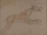 Unknown artist (Spanish 18th c.) Dog running to the right - pencil and sanguine on paper (study)
