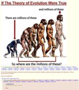EvolutionTheoryBrasil
