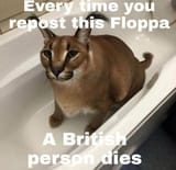 1620405777819