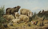 Henri De Beul (Termonde, East Flanders, Kingdom of Belgium 1845-1900 Schaerbeek, Province of Brabant, Kingdom of Belgium) Le repos dans la prairie (Rest in the meadow) - Huile sur panneau 1872-min