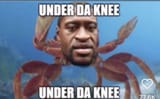 Floyd Mermaid Under Da Knee