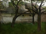 Jakub Schikaneder (Prague, Kingdom of Bohemia, Austrian Empire 1855-1924 Prague, Czechoslovak Republic) Garden - Oil on canvas c.1889