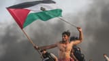 free palestinell