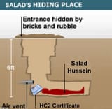 salad