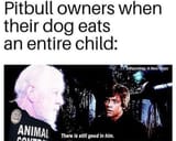 star wars pitbull