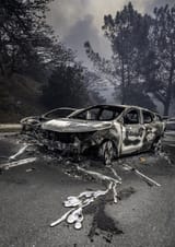 USA_CA_Pacific_Palisades_LA10728lr-726x1024