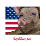 (pigshit vance)