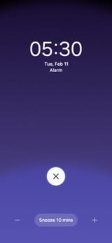 Screenshot_20250211_053008_Clock