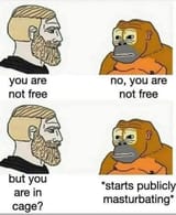 1668862213725070
