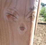 wood tree frown