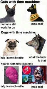 1750957085134378m