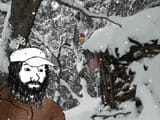 forest-anon-forestanon