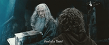 gandalf-fool-of-a-took-lotr