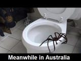 meanwhile in australia