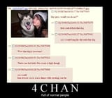 4chan full of normal people