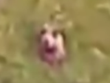 1723015510315340