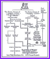 Royal-Jewish-Pedigree361 (1)