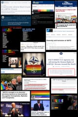 NATO faggotry is mandatory