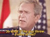 so-what-if-the-guy-threw-bush-shoe-1l8lqldql9i4b1rk