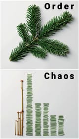 order and chaos