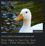 Screenshot_2025-06-30_10-10-55