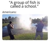 merica