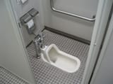 Asian-style_Toilet