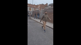 Untitled video - Made with Clipchamp (3)
