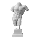 bust