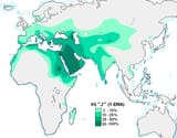 Haplogroup_J_(Y-DNA)